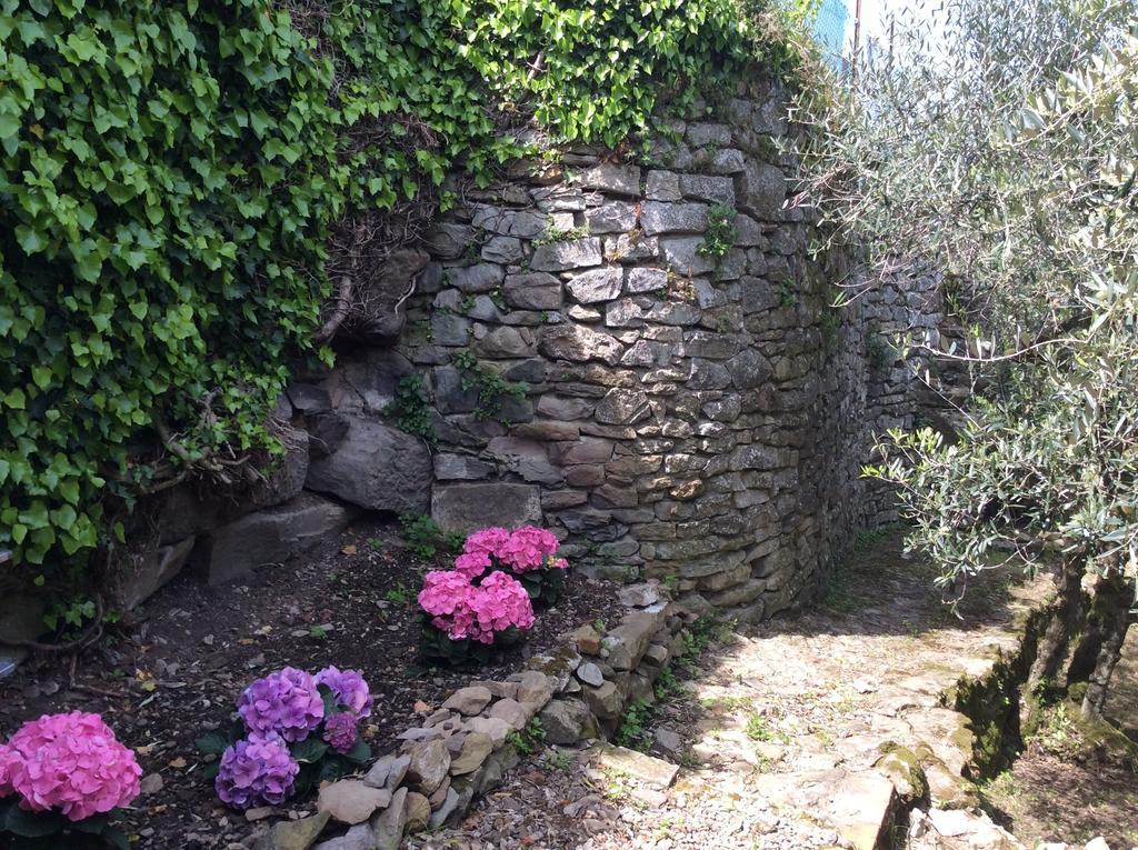 Casa Vacanze Ada Fiesole Eksteriør billede