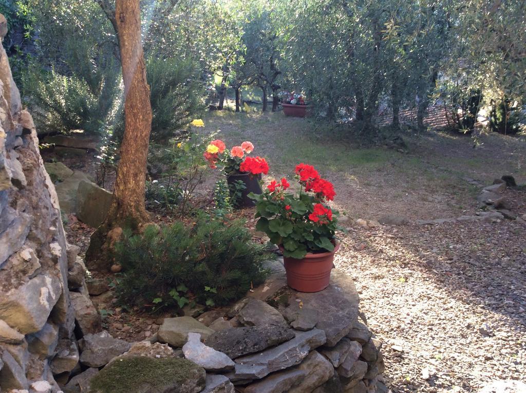 Casa Vacanze Ada Fiesole Eksteriør billede